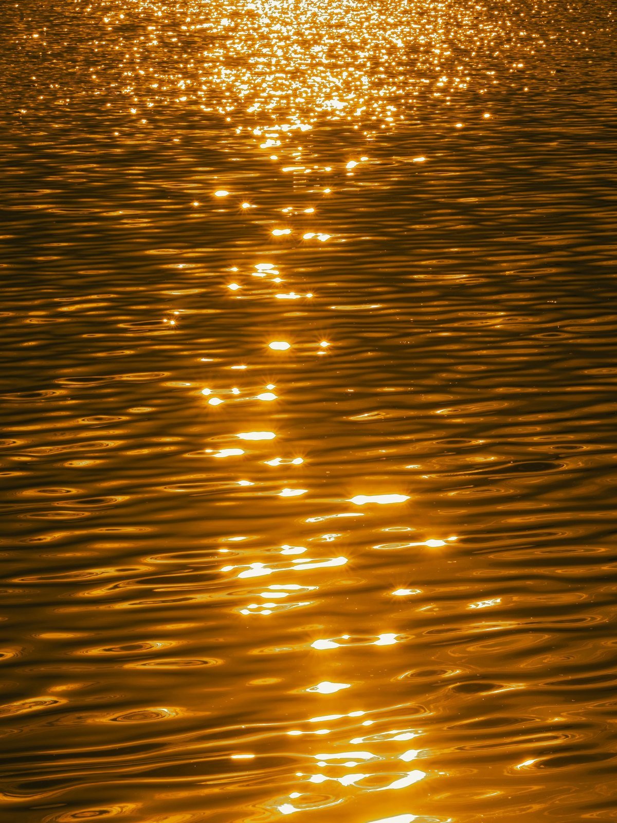 Golden evening light shimmering on rippling water